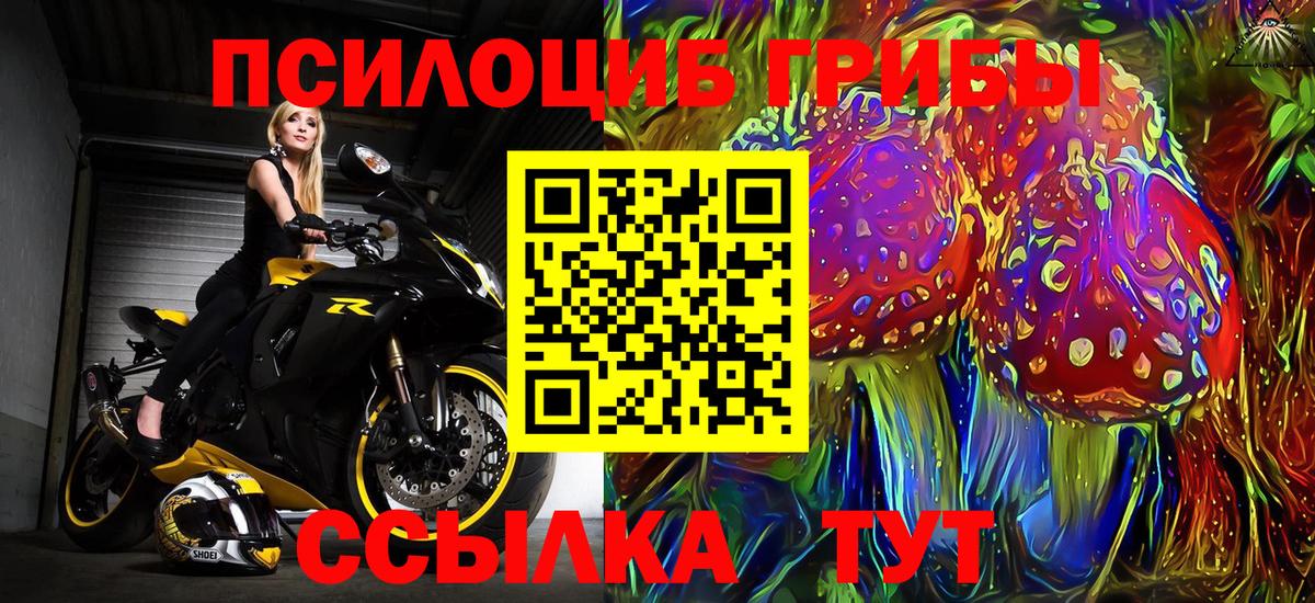Псилоцибиновые грибы прущие грибы  Вход с VPN  Алейск  Псилоцибиновые грибы прущие грибы 