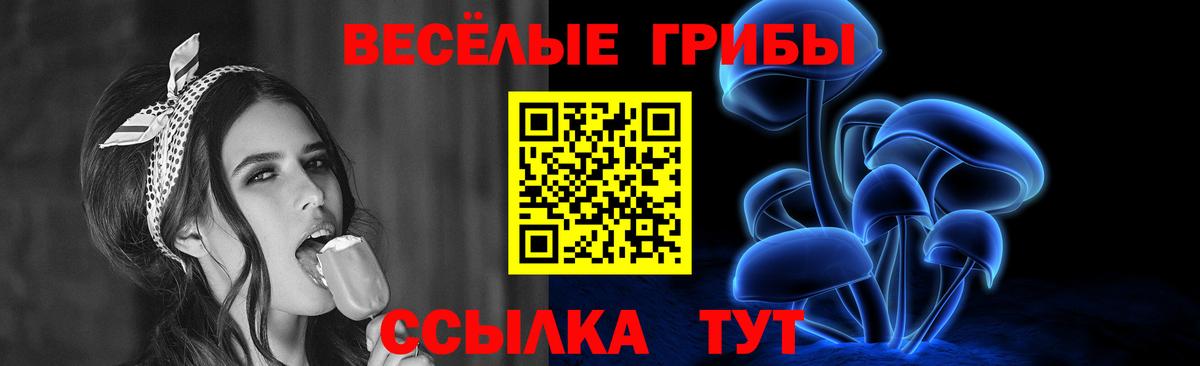 Галлюциногенные грибы Cubensis Алейск
